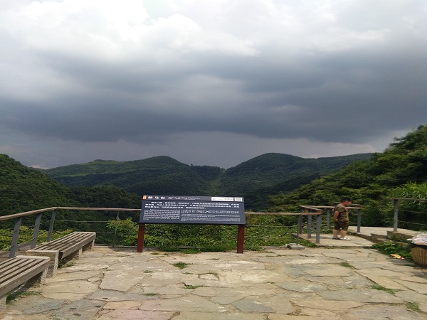 77.jpg